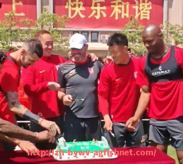 AG捕鱼王官网-世俱杯历届比赛场馆详细列表及场馆特点分析