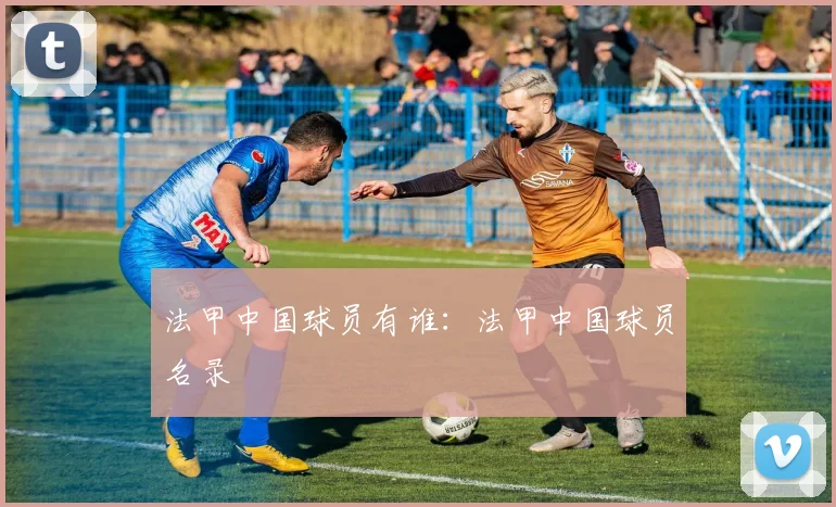 法甲中国球员有谁:法甲中国球员名录