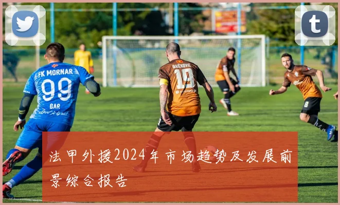 法甲外援2024年市场趋势及发展前景综合报告
