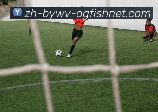 AG捕鱼王官网品牌故事