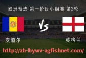 AG捕鱼王官网-2011年英超球衣销量数据及当年热销球员款
