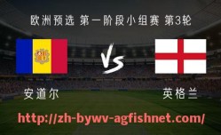 AG捕鱼王官网-2011年英超球衣销量数据及当年热销球员款
